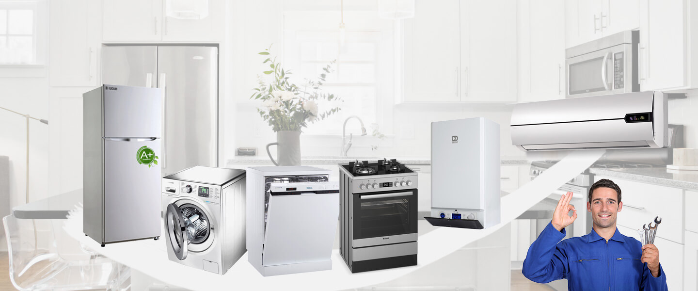 Gülağaç Electrolux Servisi